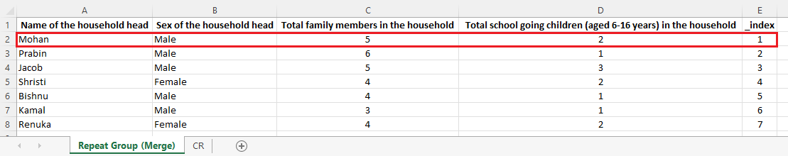 Individual Data